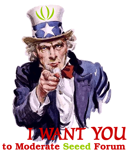 wanted.png