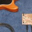 maple-guitar-shield
