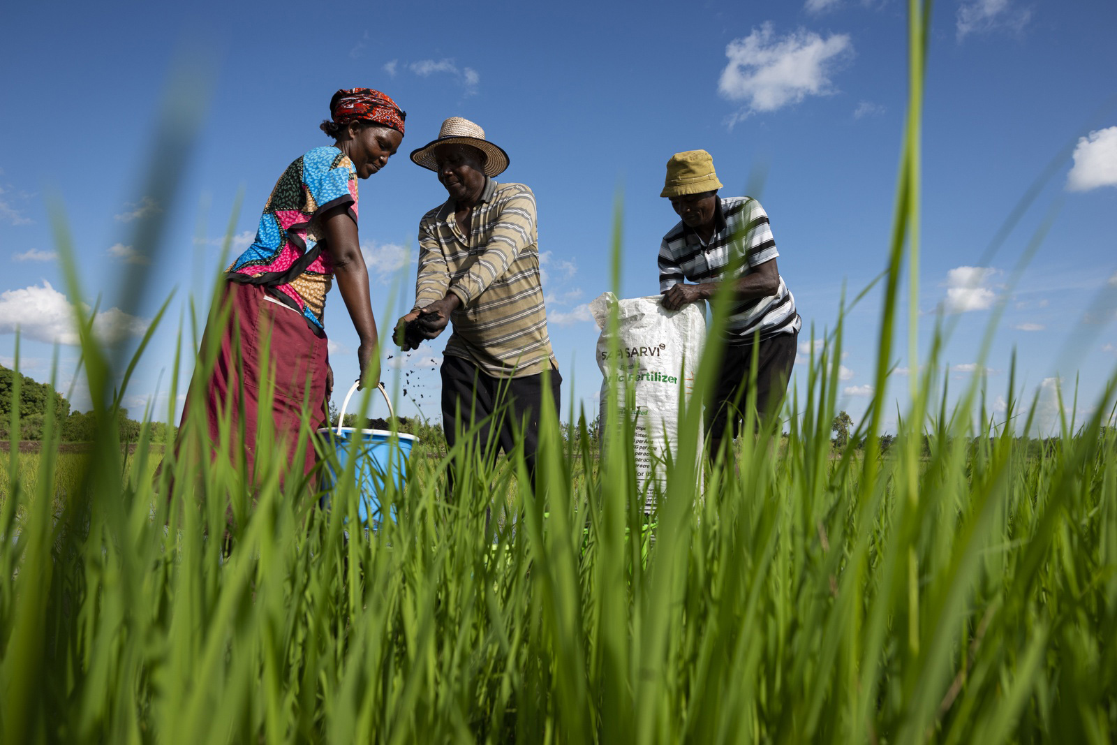 improve agriculture in Kenya