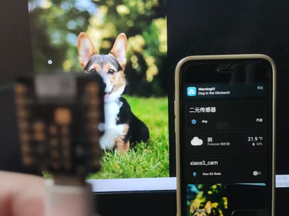 Home Assistant Project (1)