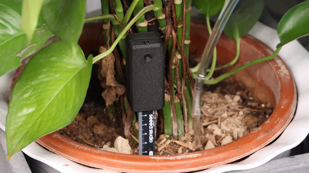 Home Assistant Project 2