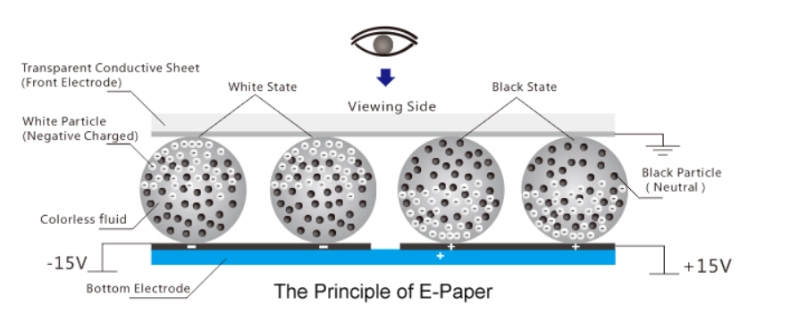 the principle of epaper