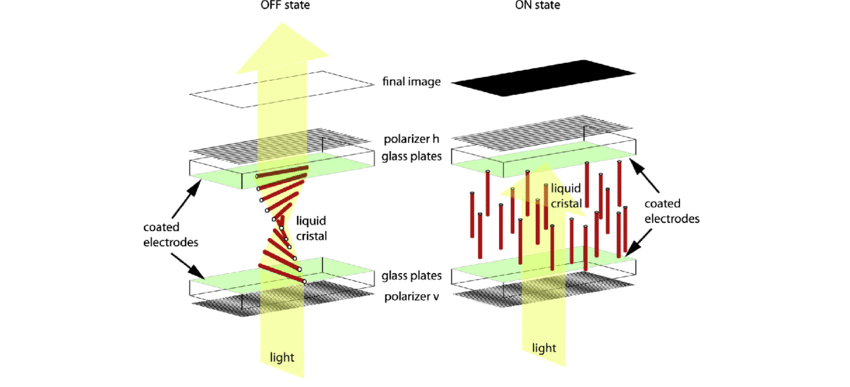 TN (Twisted Nematic) LCD