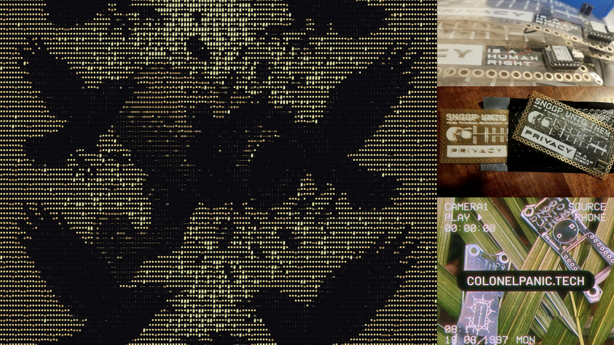 XIAO Project Flock You