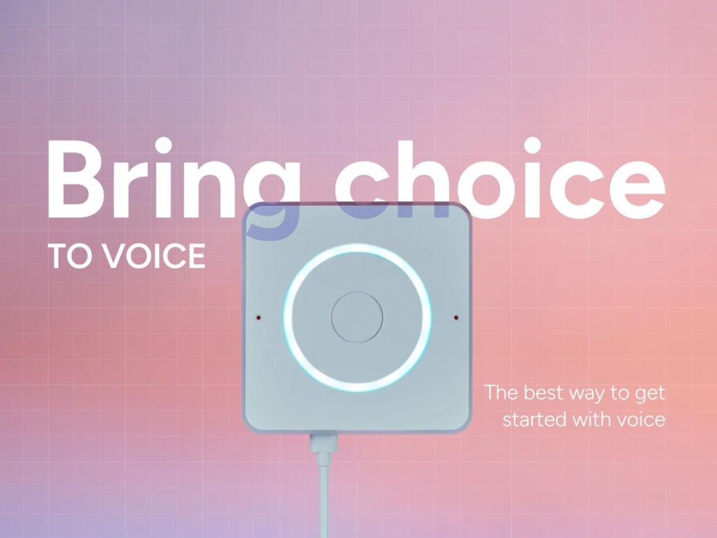 Home assistant voice preview edition