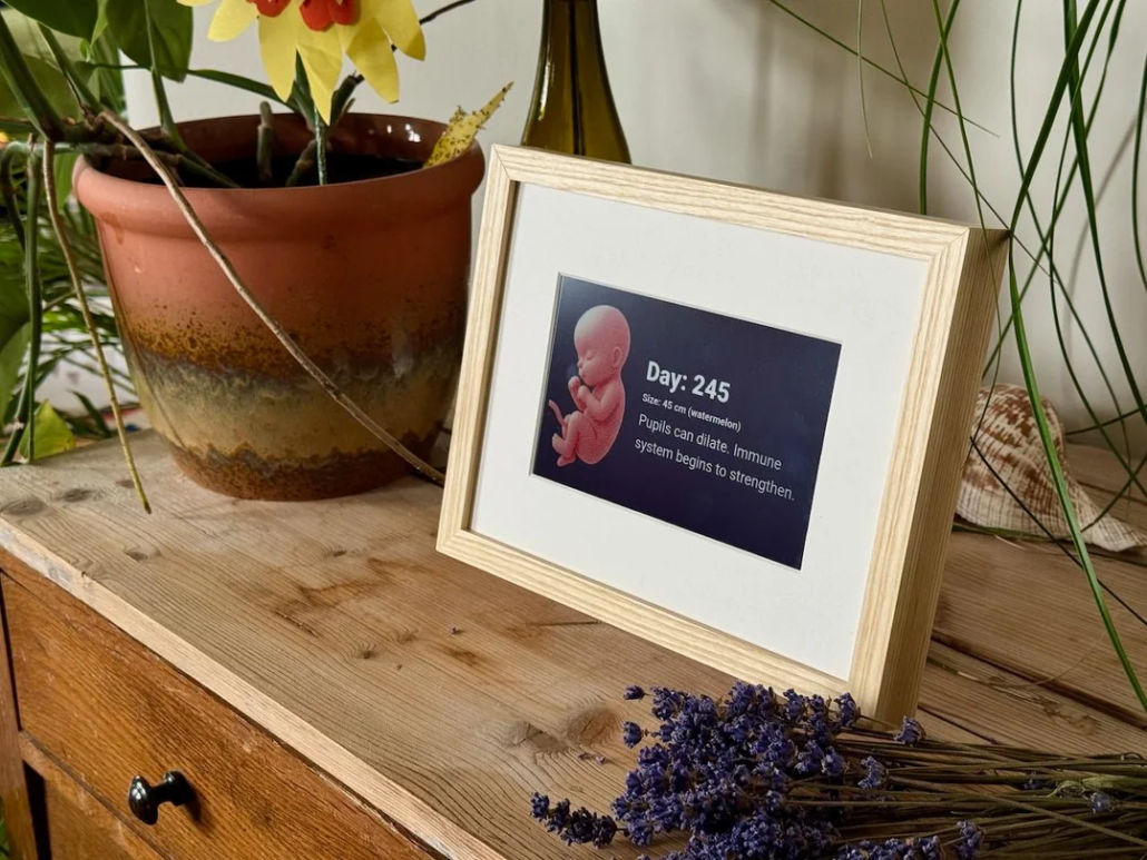 Baby development e-ink calendar made with Spectra 6 display and ESP32 C6