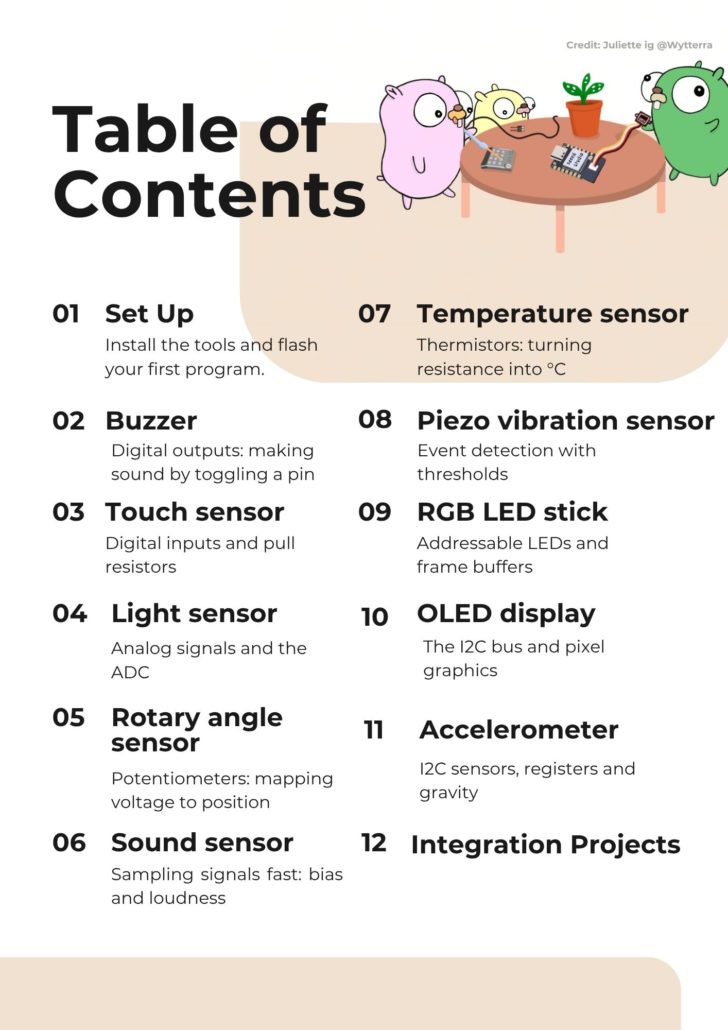 TinyGo Starter kit Table of content