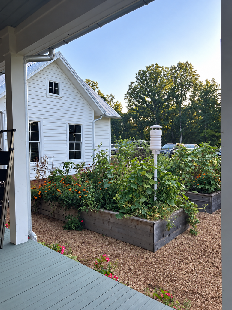 S800 in home garden