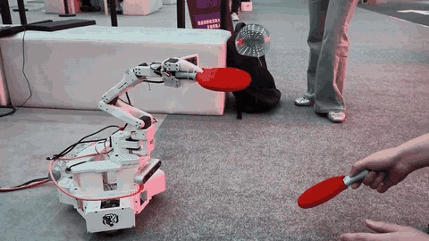 A Jetson Thor-powered LeKiwi robot and a person use red paddles to bat a floating bubble back and forth. Physical AI Project