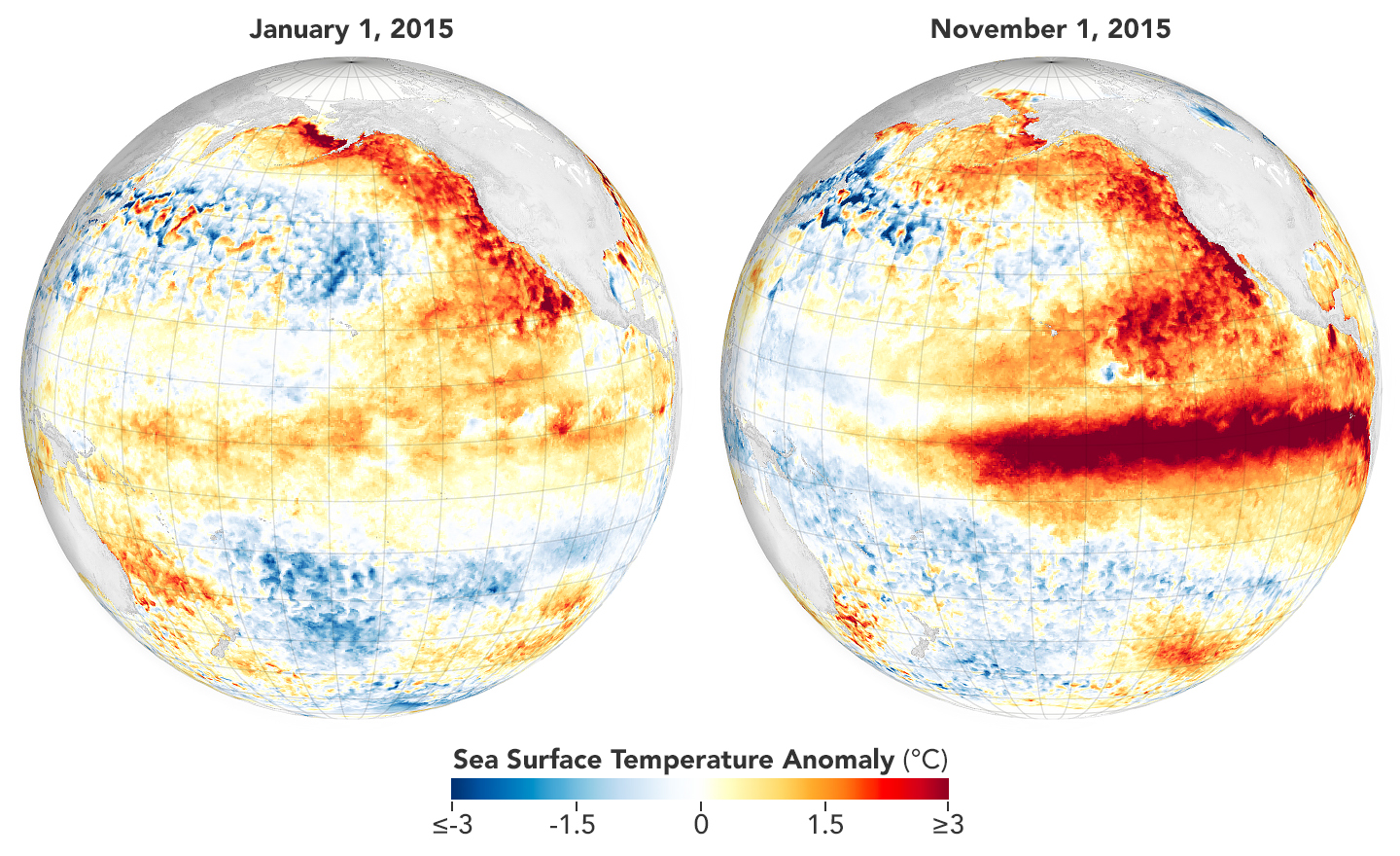 El Niño is associated with above-average equatorial sea surface temperatures. El Niño's signature warmth is apparent in the November 2015 map.
NASA Earth Observatory maps by Michala Garrison, using data from the MUR SST (Multi-scale Ultra-high Resolution Sea Surface Temperature) project.